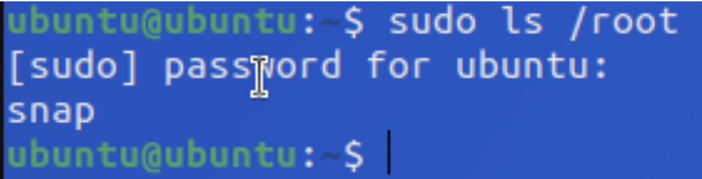 Running sudo ls /root to check sudo status