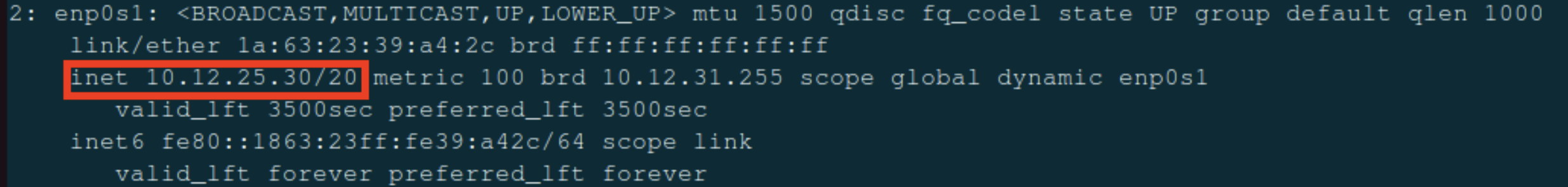 ip a in Bridged Mode