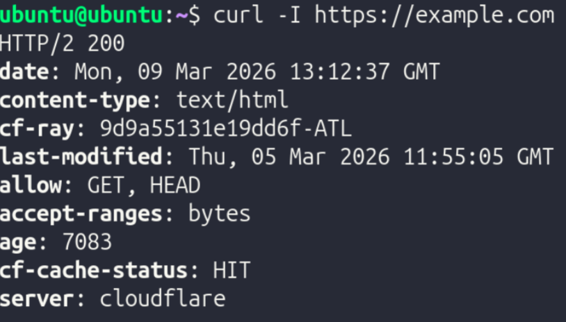 HTTPS Curl