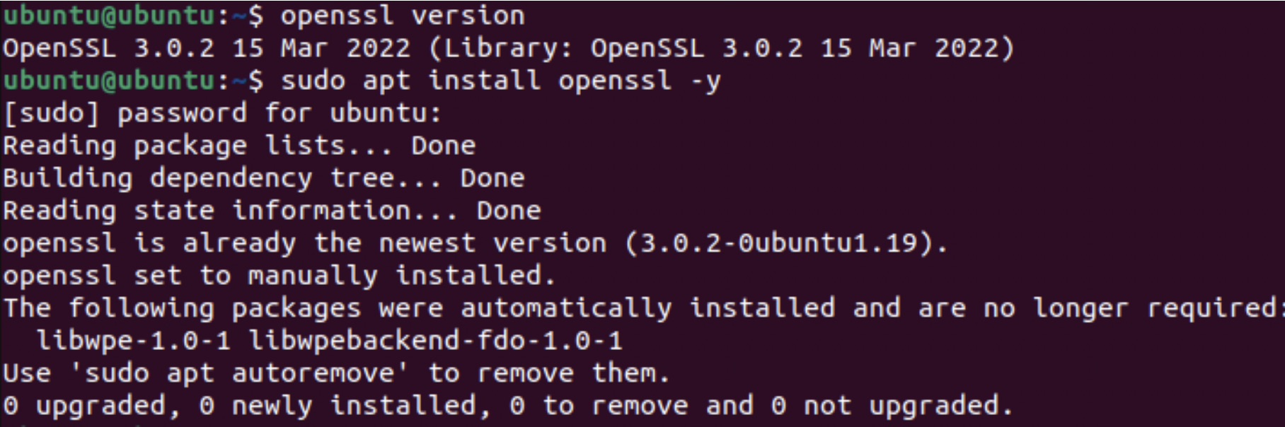 Checking and Updating OpenSSL